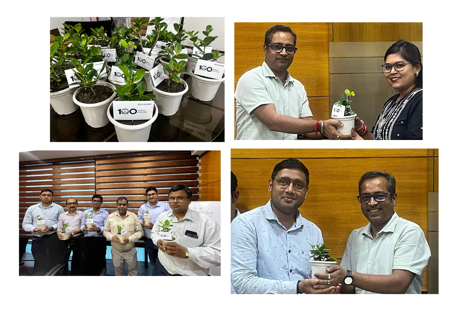 environment day